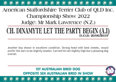 10. CH. DINAMYTE LET THE PARTY BEGIN (AI).png
